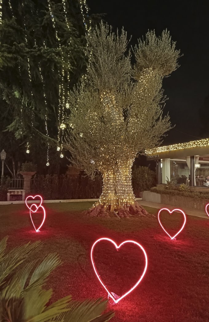 Villa Girasole immagini 2025