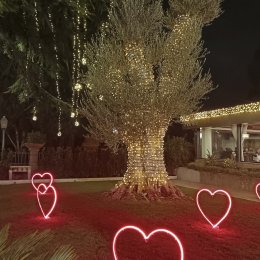 Villa Girasole immagini 2025